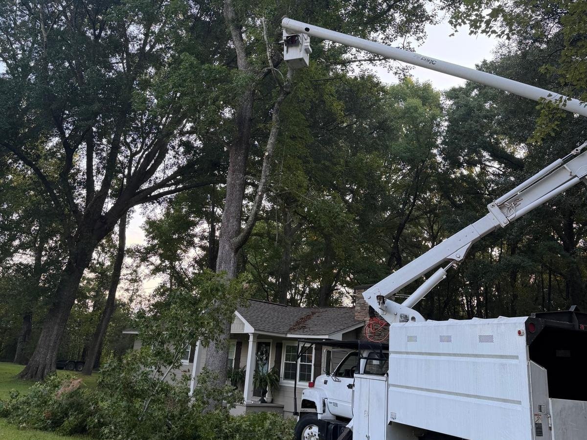 El Costeño Tree Service LLC